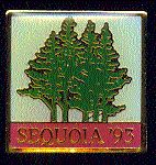 1993 sequoia patch