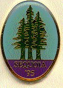 1995 sequoia patch