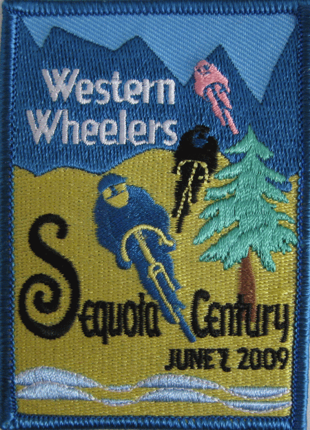 2009 sequoia patch