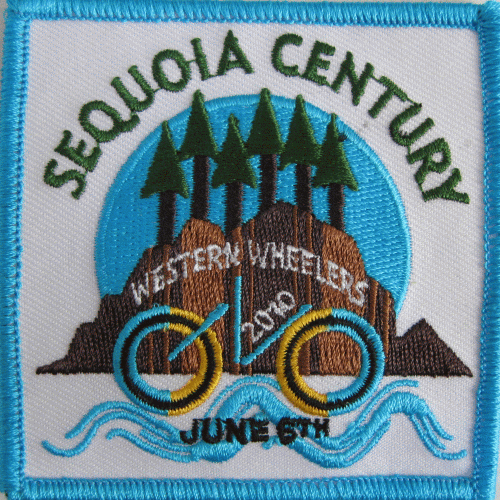 2010 sequoia patch