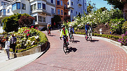 Lombard%20Street%20with%20Linda%20V.%20Leading%20the%20Pack.jpg