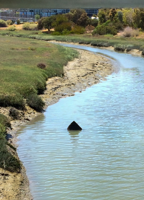 41_No_Wading_By_The_Oracle_Bike_Bridge_Today.jpg