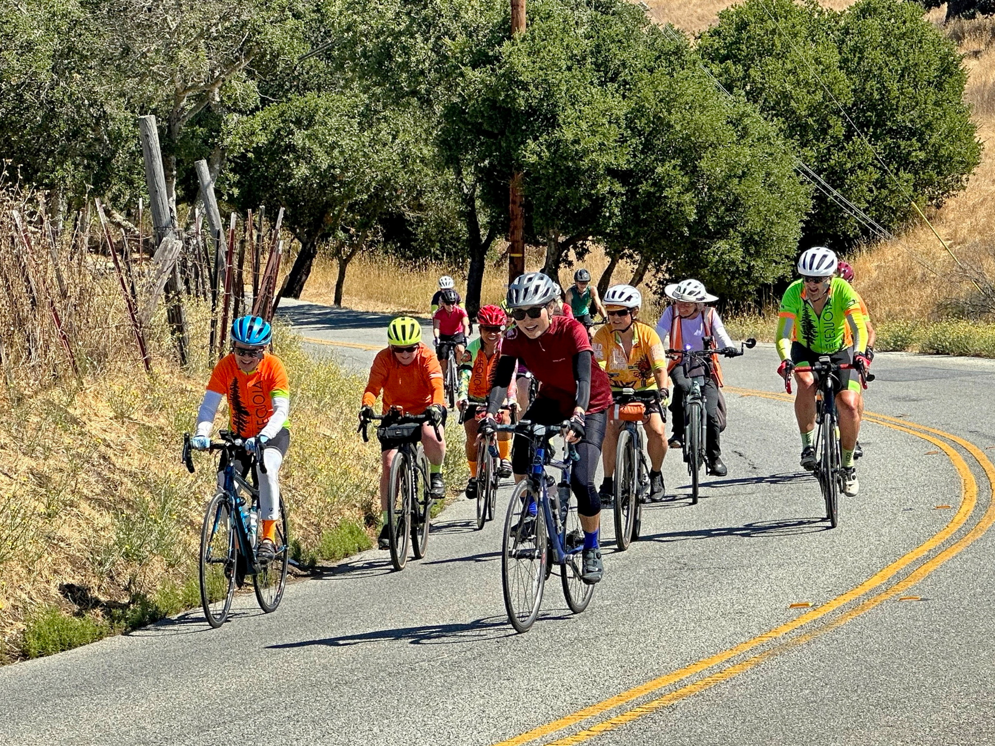 WM-Arastradero.jpg