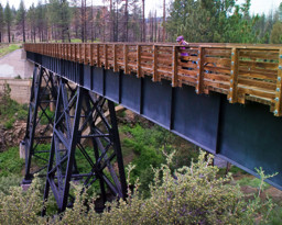 Bizz%20Johnson%20Trail-Trestle-2.jpg