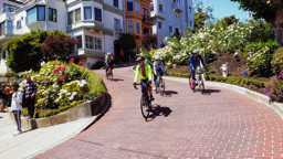 Lombard%20Street%20with%20Linda%20V.%20Leading%20the%20Pack.jpg